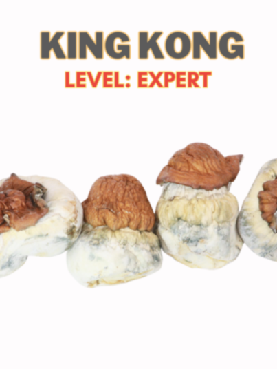 King Kong Magic Mushroom Strain